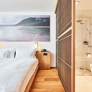 Art Suite House
